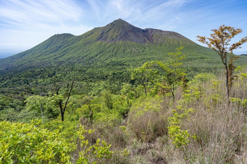 <p>藪漕ぎを終え、矢岳の登りから振りかえる高千穂峰。<br>立派な山容だが、藪漕ぎは過去最恐レベルだった。</p>