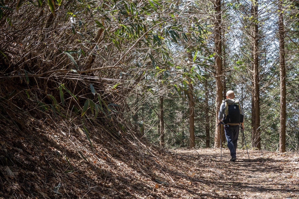 <p>最後は穏やかな水平歩道を通れば、二本杉峠にたどり着く。<br>ここから、あらかじめ置いておいたもう 1 台の車で、前日入山したウードヤ山登山口の車を回収してこちらに戻ってきた。<br>九州脊梁はこうやって 2 台を活かすと縦走ルートの幅が広がって楽しい。<br>今回も、仲間とともに素敵な山歩きを楽しむことができた。</p>
