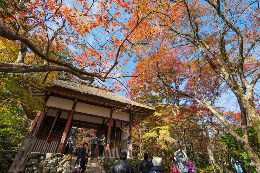 <p>人が多いが紅葉が綺麗だ。</p>