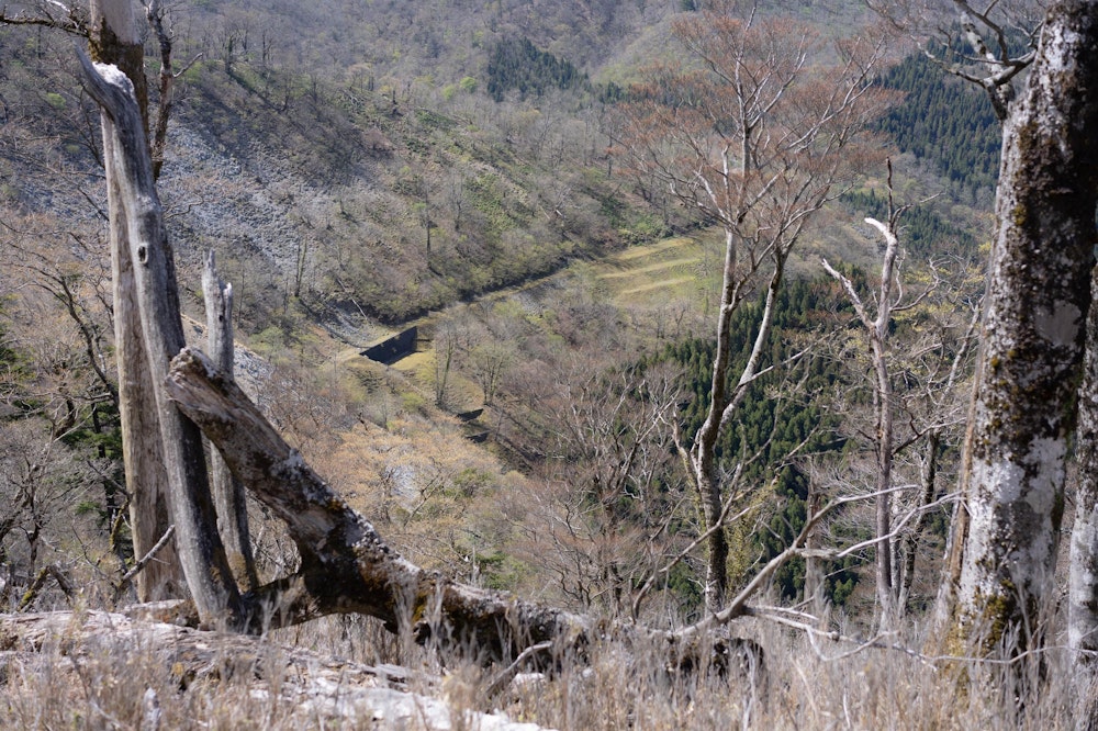 <p>縦走路の横の斜面にふと目をやると、自然に還りつつある林道が見えた。<br>遺跡のようだ。</p>