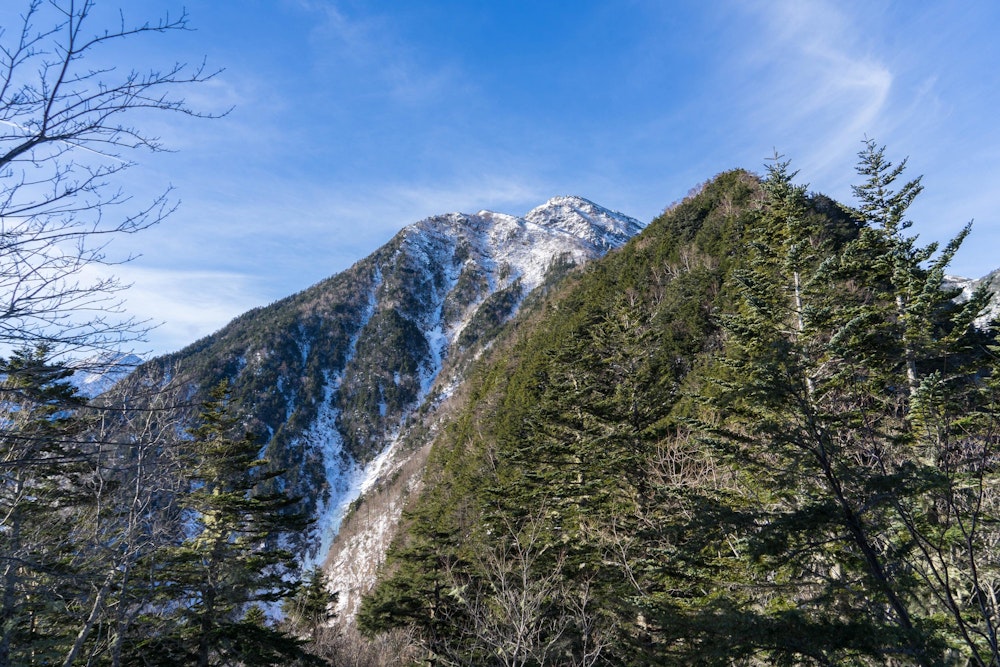<p>頂上部が見える。水平距離はそれほどなさそうに見えるが、見上げるように高い。<br>いかに急登になっているかがわかる。</p>