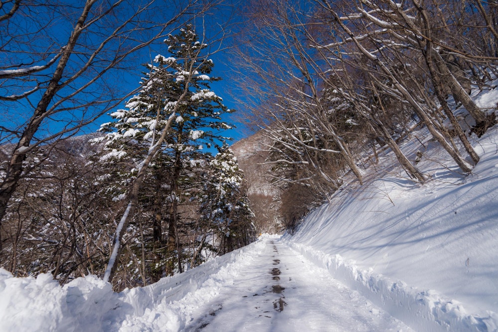 <p>バスで奥日光エリアまで来たあとは、しばらく舗装路を歩いて弓張峠を目指す。</p>