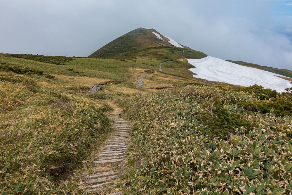 <p>すばらしい縦走路。よく整備されていて歩きやすい。</p>