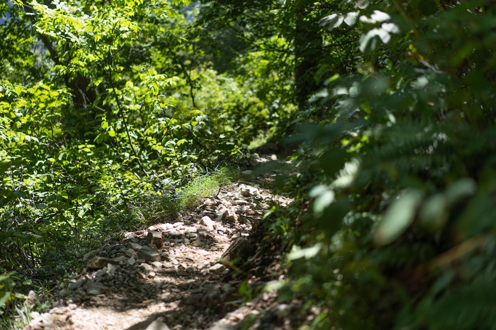 <p>笠新道を一気に下っていく。朝とは異なり、気温が上がって蒸し暑くなっている。</p>