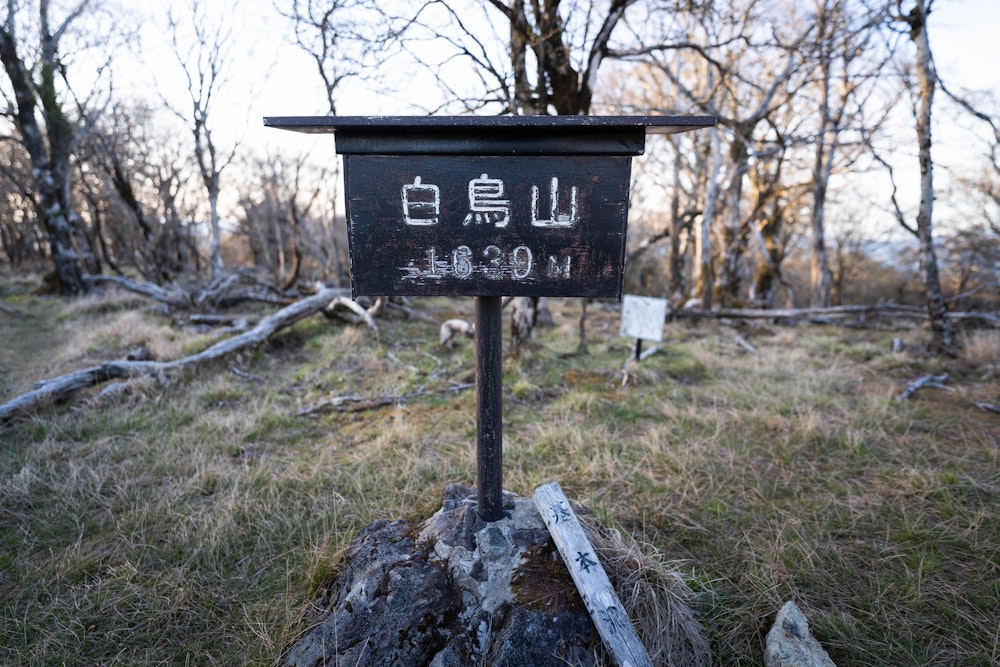 <p>白鳥山頂上も平坦な草地で、どこでも幕営できそうないい雰囲気だった。</p>