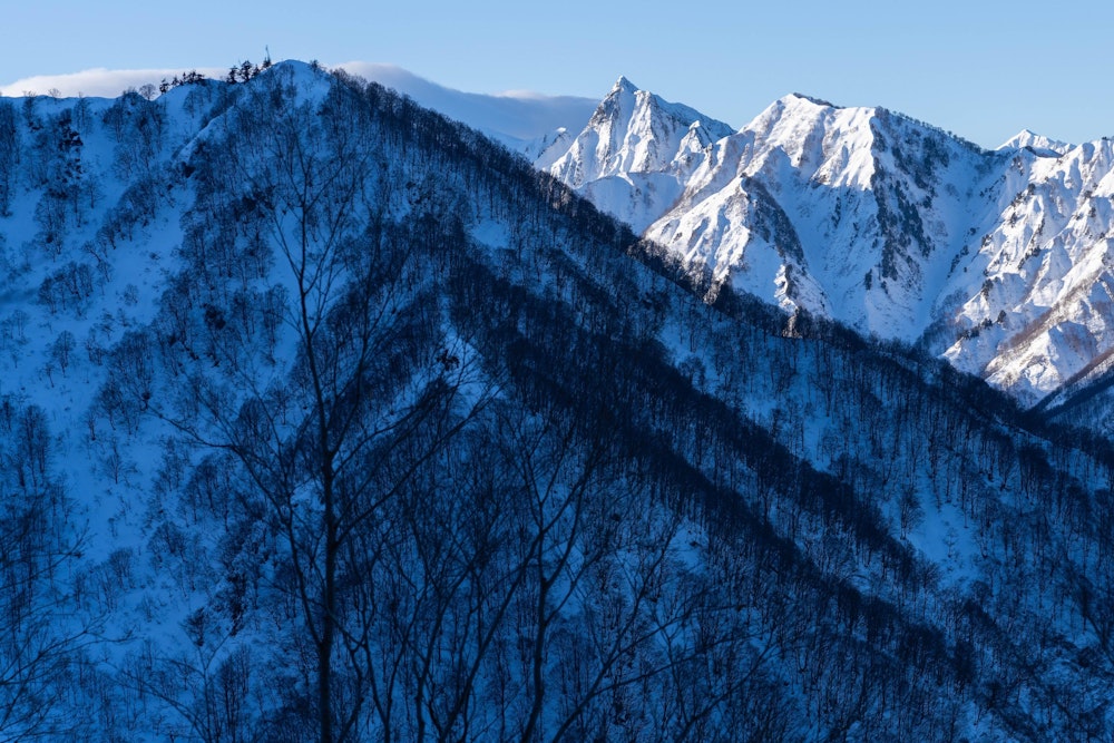 <p>しばらく樹林帯の急登を上がっていくと、一瞬視界が開けた場所に出る。<br>大源太山の鋭く尖った山容が印象的。</p>