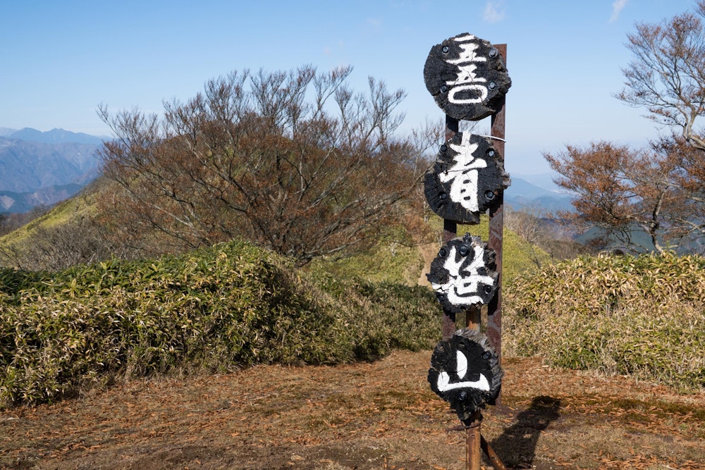 <p>ちょっとした藪を抜けて青笹山。<br>その名が示すとおり、あたり一帯は熊笹に覆われている。</p>