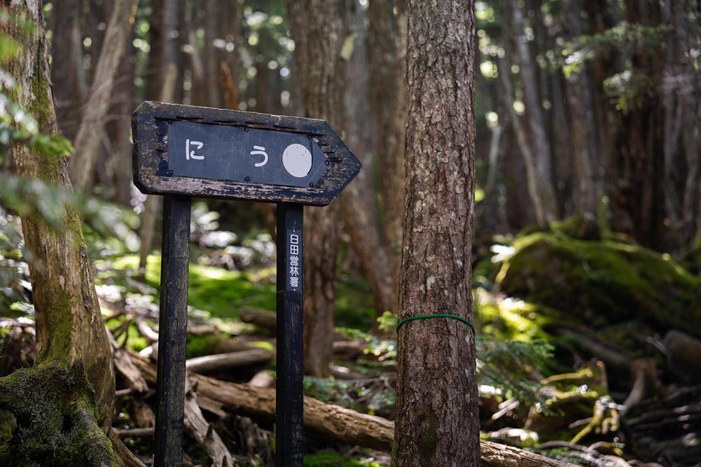 <p>「ニュウ」というピークに向かう。看板が「にゅう」だったり「にう」だったりと表記揺れしていて面白い。<br>その中でも「にう」がお気に入り。</p>