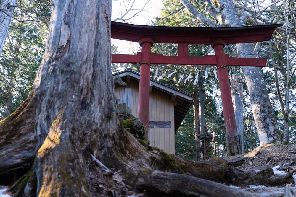 <p>山の中腹... といってもほとんど頂上直下には、両神神社本社がある。</p>