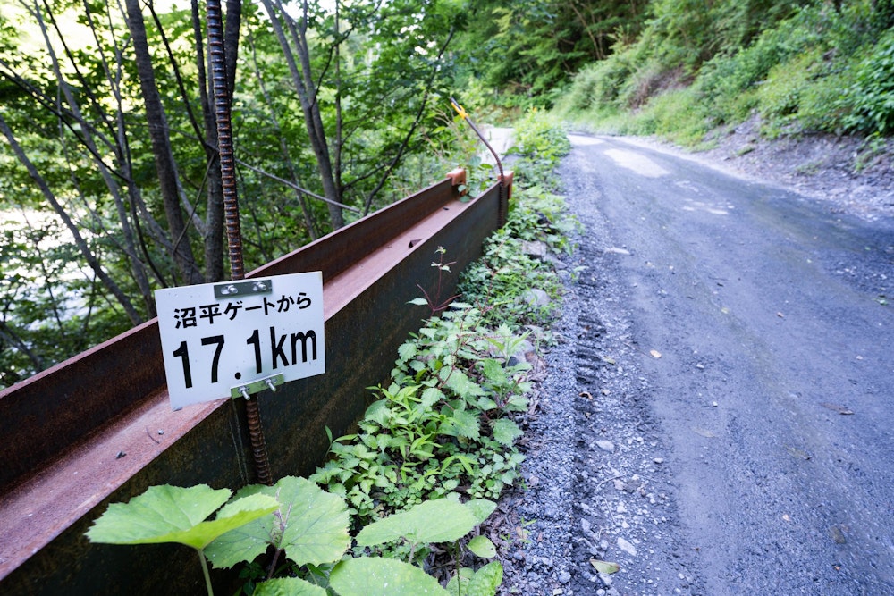 <p>最後は林道東俣線を歩いて、車を停めている沼平ゲートを目指す。<br>これがひたすら長い。</p>