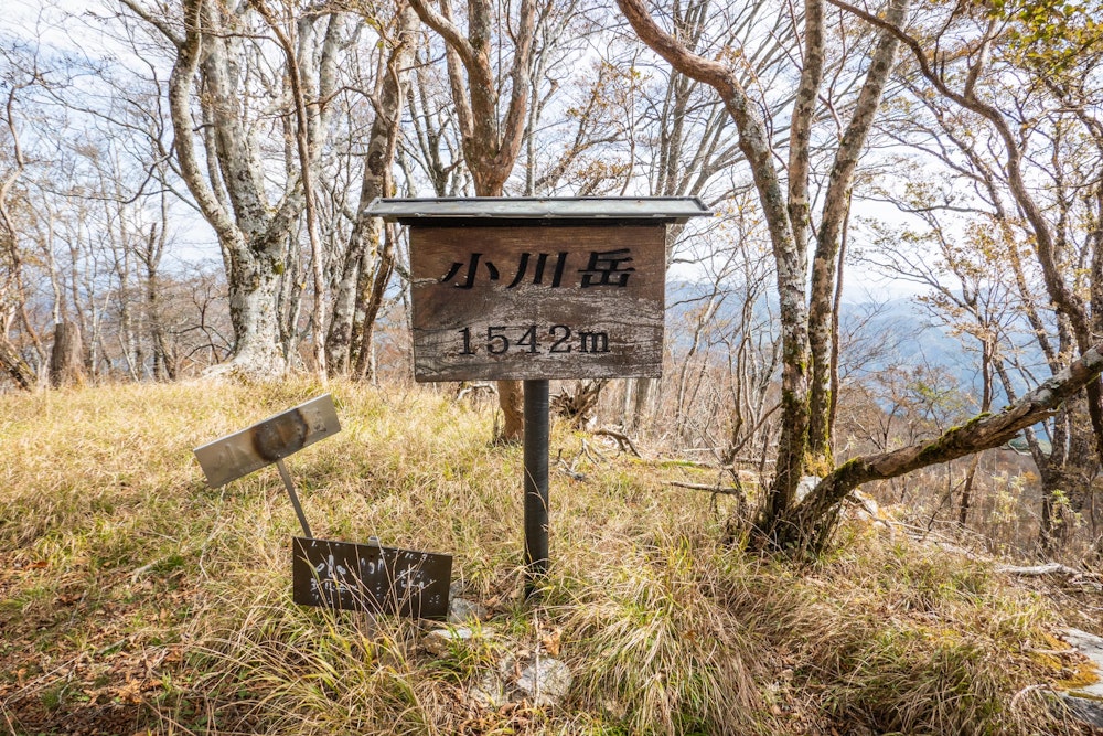 <p>縦走路上の主要ピークのひとつ、小川岳。</p>