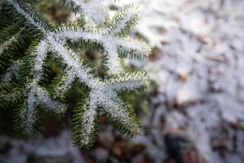 <p>小笹ノ宿で一日目の夜を明かす。ここに到着してまもなく雪が降り始め、翌朝にはうっすらと積もっていた。</p>