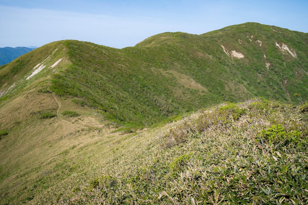 <p>流石山から、大倉山方面の稜線。美しい森林限界の尾根道が広がっている。<br>三倉山まで歩くのが当初の予定ではあったが、同行者と相談してお互いの体力や体調を勘案してこのあたりで折り返した。十分楽しめていることもあり。</p>