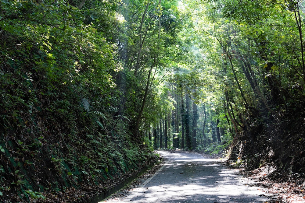 <p>周回ルートを取るため、猿ヶ城温泉に駐車。<br>最初はしばらく舗装路を歩いて白山登山口を目指す。</p>