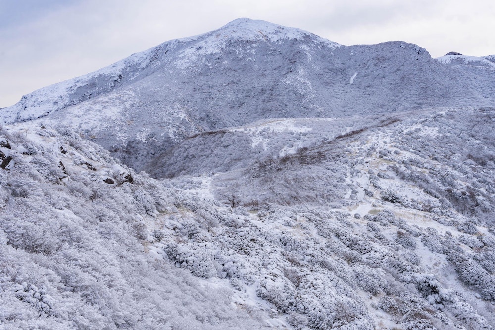 <p>平日の早朝、風もなく、誰もいない静かなくじゅう連山は、それだけで不思議な雰囲気だった。</p>
