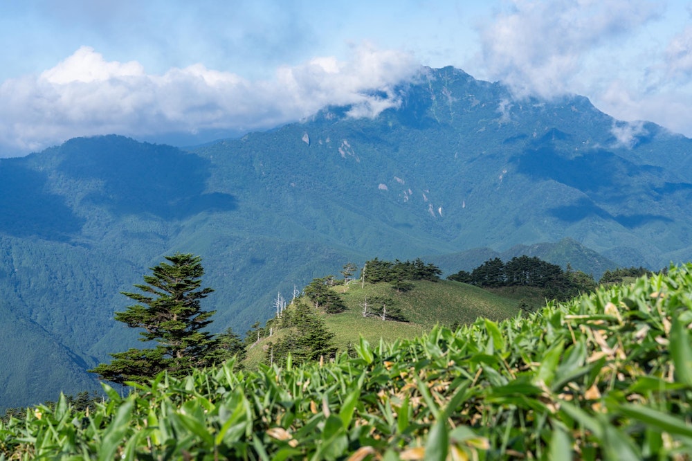 <p>湿度が高めで、朝から湧き立つ雲がべたっと山肌に張り付いているが、朝方はかろうじて石鎚山の頂上部も望むことができた。</p>
