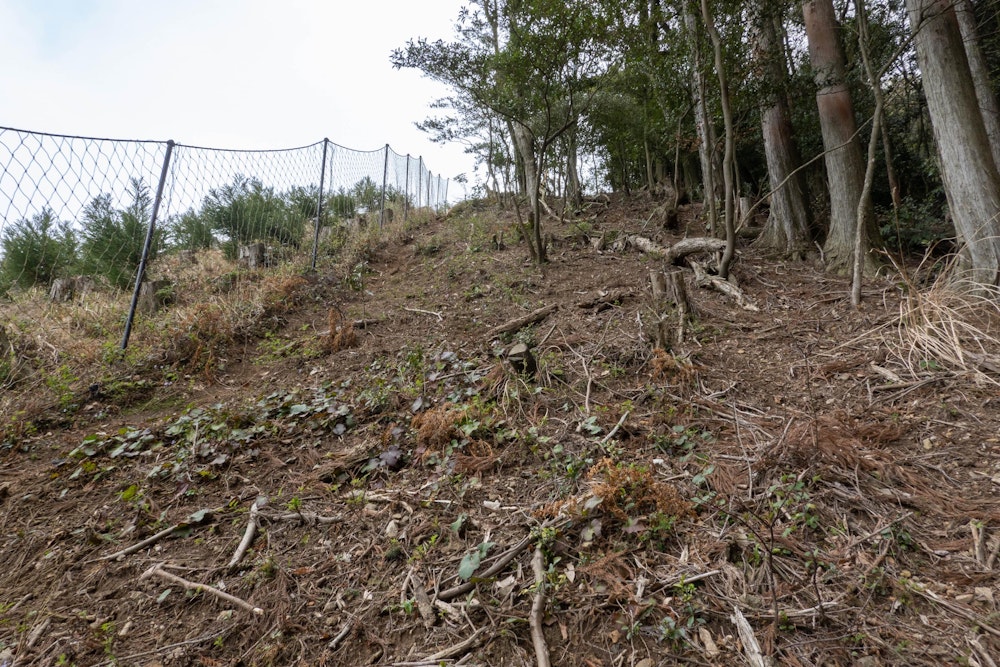 <p>車道を少し歩いて樹林帯に入り、フェンス沿いに来ると無慈悲な急登。</p>