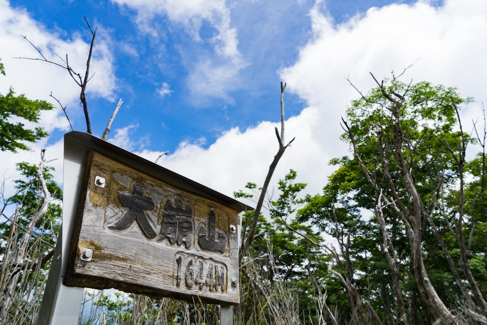 <p>袖ダキ展望所から見上げた岩壁の印象とは異なり、大崩山の頂上は樹林に覆われた平坦な場所だった。</p>