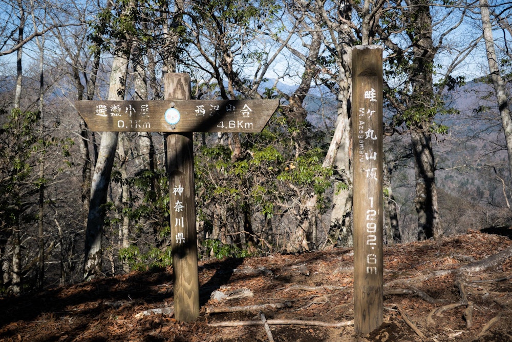 <p>畦ヶ丸の頂上に到着。本日最初の頂上。<br>ベンチがいくつか設置され、広々として落ち着きやすい場所だった。</p>