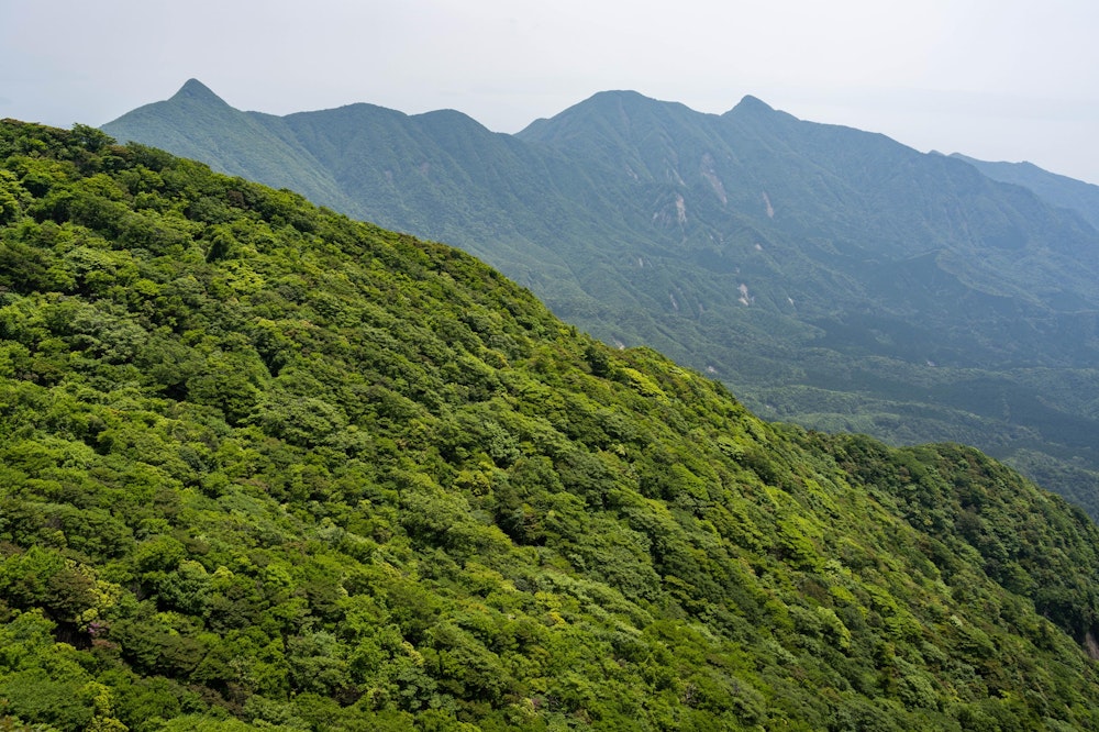 <p><span style="color:#000000">大箆柄岳からの景色。</span><br><span style="color:#000000">歩いてきた稜線がすべて見える。</span><br><span style="color:#000000">大箆柄岳まで来ればさすがに誰かと会うだろうと思っていたが、結局ここにも誰もいなかった。</span></p>