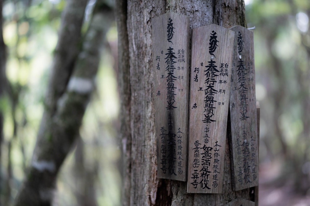 <p>行者さんによってそれぞれの修行場に納められている碑伝。令和四年のものもあった。</p>