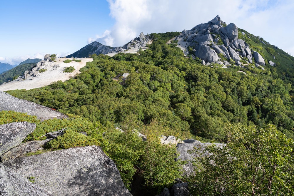 <p>地蔵ヶ岳は眺めるだけにして、観音ヶ岳で引き返す。<br>すっかり日が昇って、薬師ヶ岳の鮮やかな森の緑と岩の白が映える。</p>