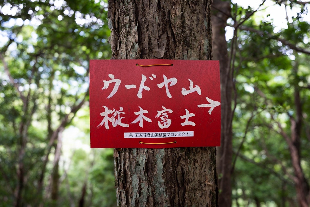 <p>国見岳への最短ルートではなく、あえて少し離れた尾根から周回する。<br>ウードヤ山、樅木富士を経由する行程だ。</p>