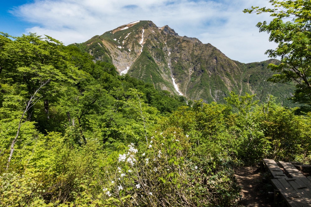 <p>天神尾根を下りて、ロープウェイで下山して土合に戻り、馬蹄形を閉じる。<br>素晴らしい縦走ルートだった。</p>