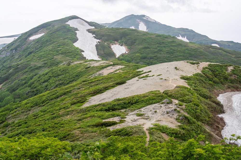 <p>三国小屋から先もしばらく足元に気を使うアップダウンが続き、種蒔山を過ぎたあたりで道が穏やかになる。<br>すると、飯豊本山を視界に捉えることができた。その手前に立ちはだかる山は草履塚。</p>