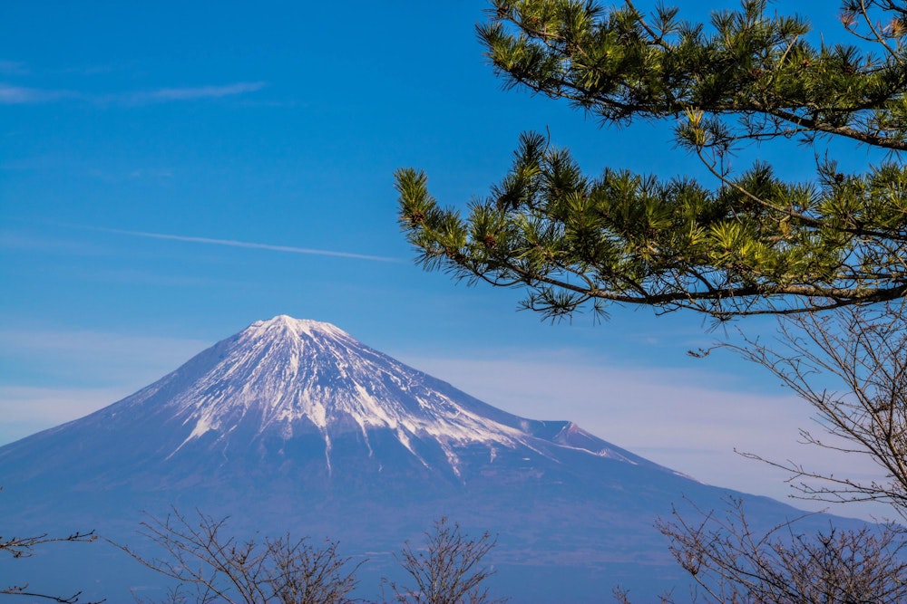 <p>松の木を入れて。静岡らしい富士山の表情。</p>