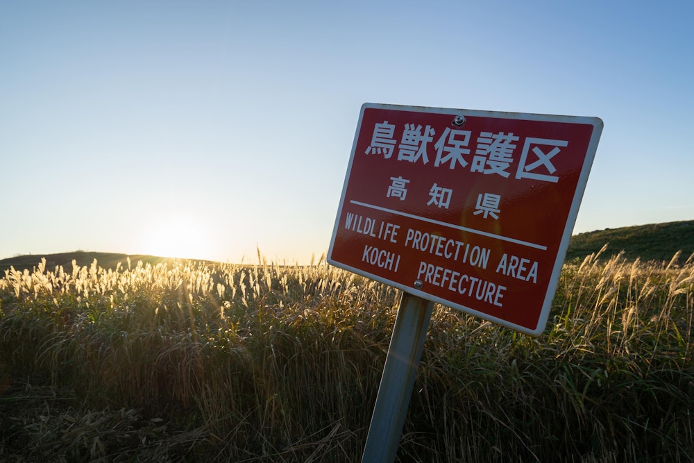 <p>旅先では、鳥獣保護区の看板を見るたびに「そうかここは〇〇県か」と毎回思う。<br>そうかここは高知県か。</p>