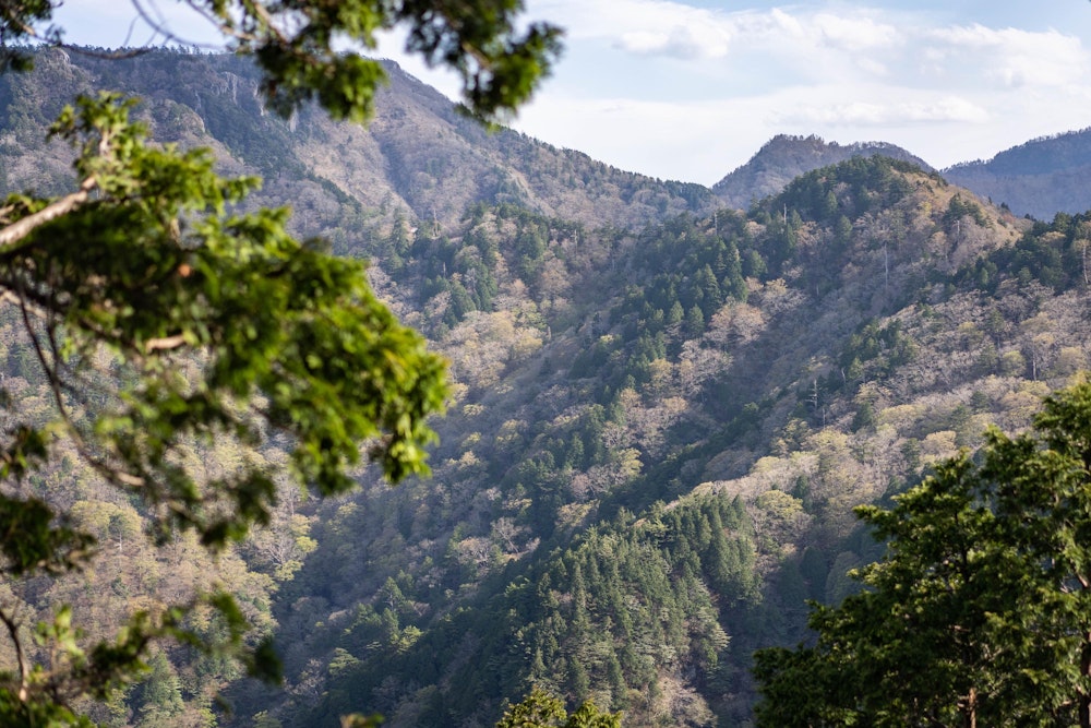 <p>山上ヶ岳方面の景色がひらけてくる。</p>