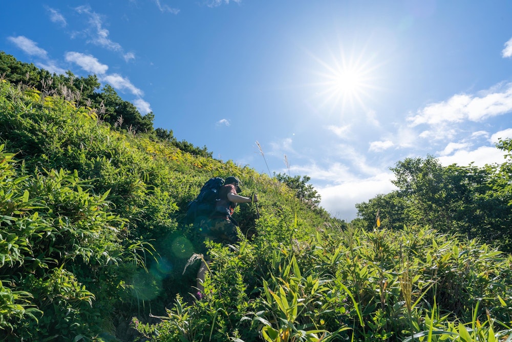 <p>冷涼な北海道といえど、夏の強烈な日差しは全国共通。</p>
