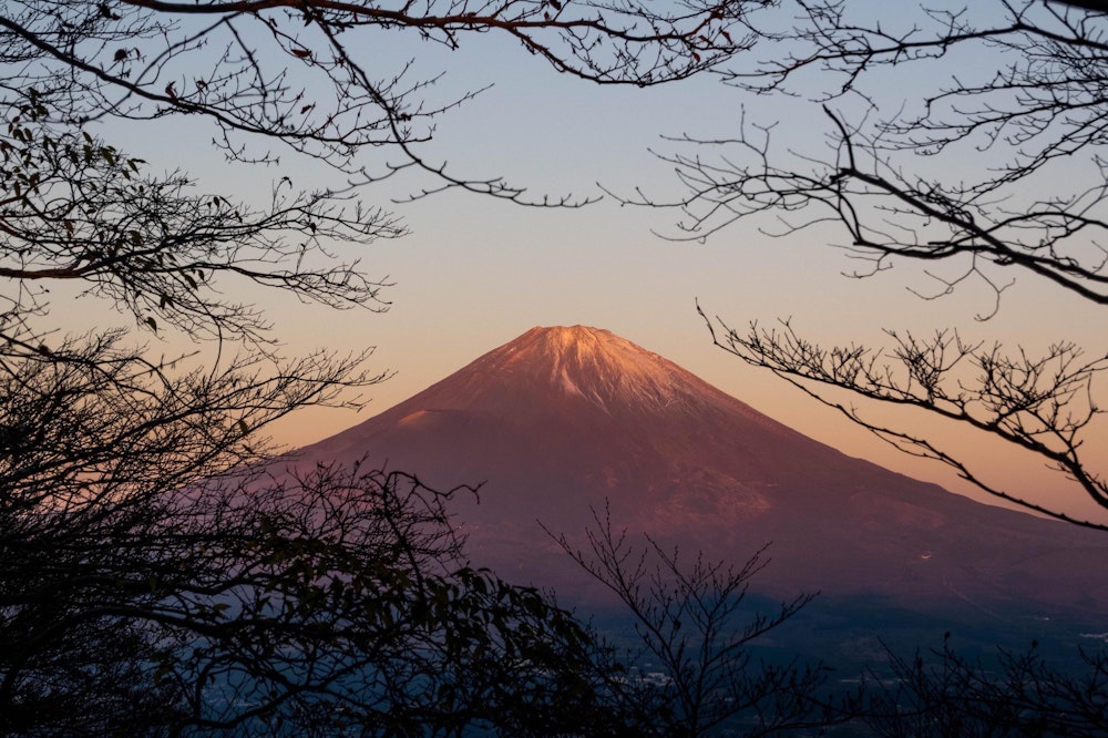 <p>木々の間から紅富士。美しい日本の夜明け。</p>
