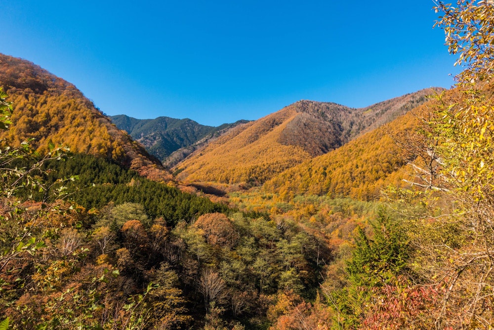 <p>常念岳から一ノ沢登山口に降りてくると、低い山は紅葉の最盛期を迎えていた。<br>特にこのあたりは、カラマツの黄葉がすさまじく美しい。<br>絶好の天気に恵まれ、秋から冬の境目を味わえる登山となった。</p>