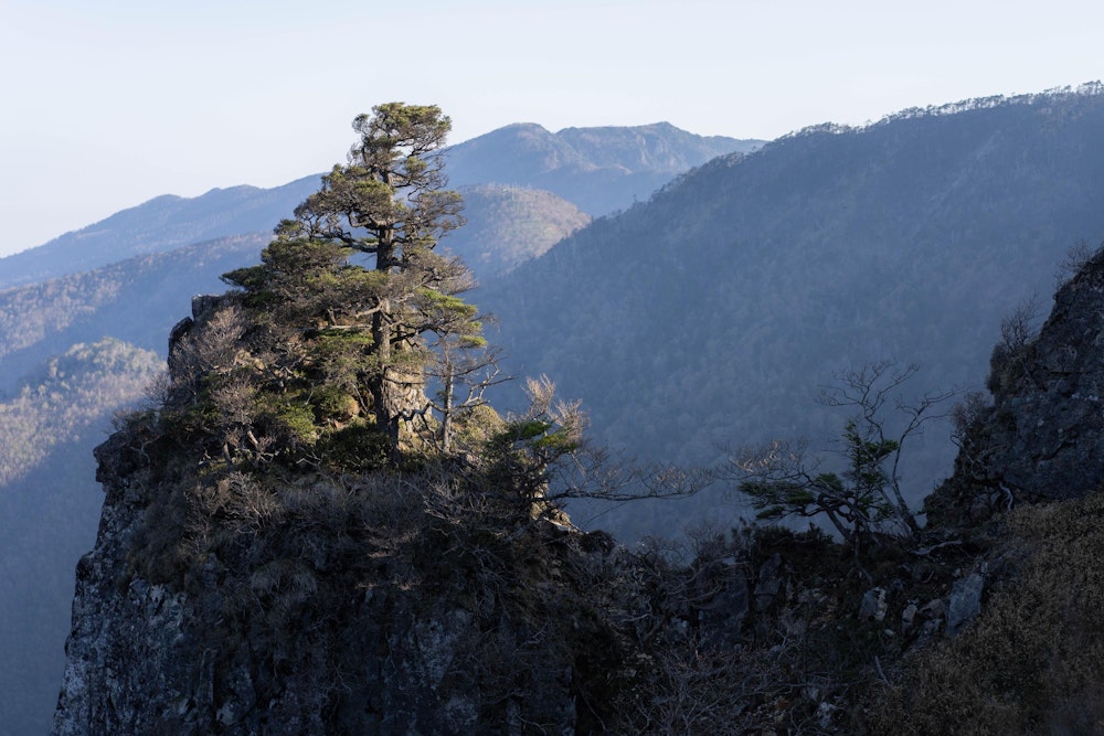 <p>朝日に浮かぶ弥山を望む。</p>