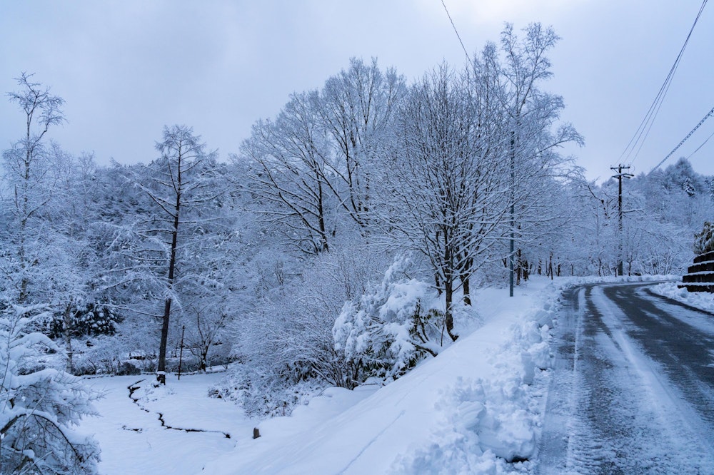 <p>登山口もすでに雪景色。<br>前日の降雪で、新雪を纏った木々が美しい。しかし空模様に一抹の不安。</p>