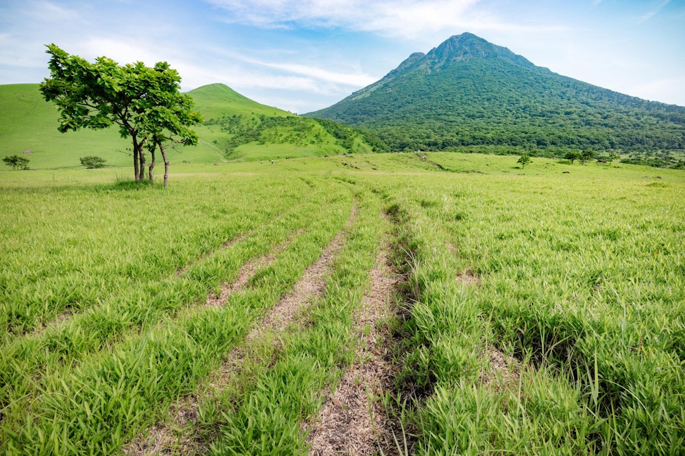 <p>正面登山口まで戻ってきた。<br>しかし車は東口に置いてある。クールダウンがてら、車道の脇を歩いて入山した場所まで戻った。<br>今回の登山、由布岳はもちろん期待通りだったが、想定していなかった飯盛ヶ城の存在が思いがけず良かった。<br>正面登山口から飯盛ヶ城を往復するだけなら簡単なので、登山初心者を連れて山の楽しさを味わってもらうには絶好の場所だろう。</p>