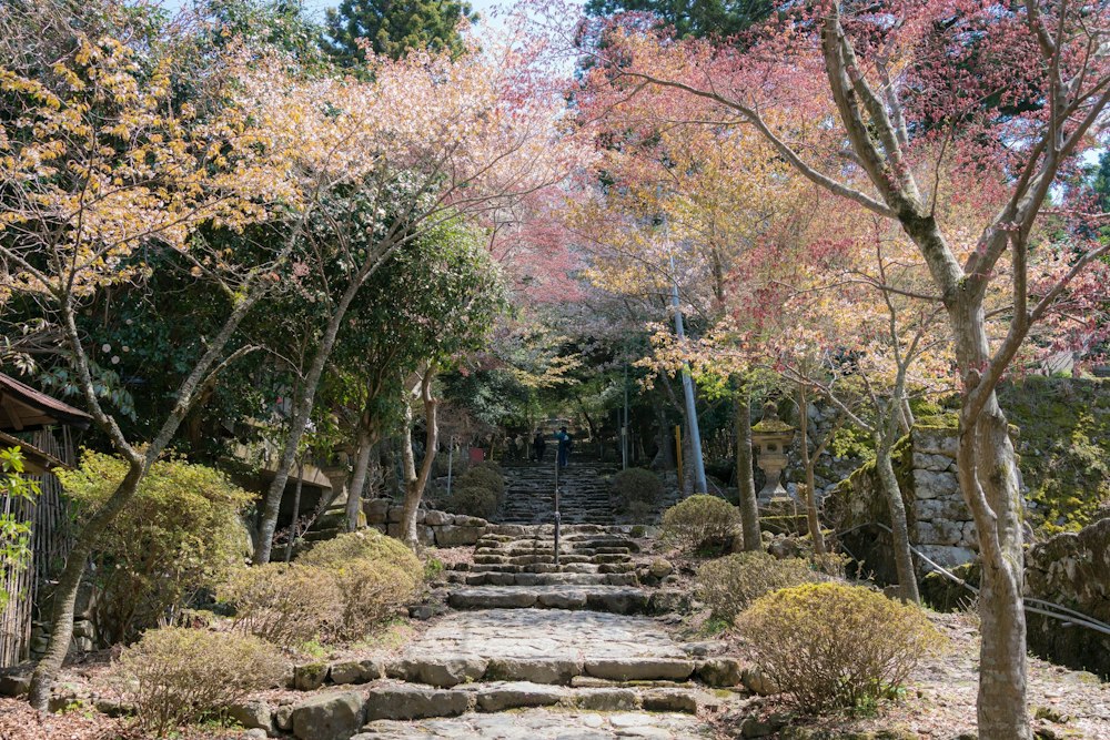 <p>季節は四月、ふもとは春だった。</p>