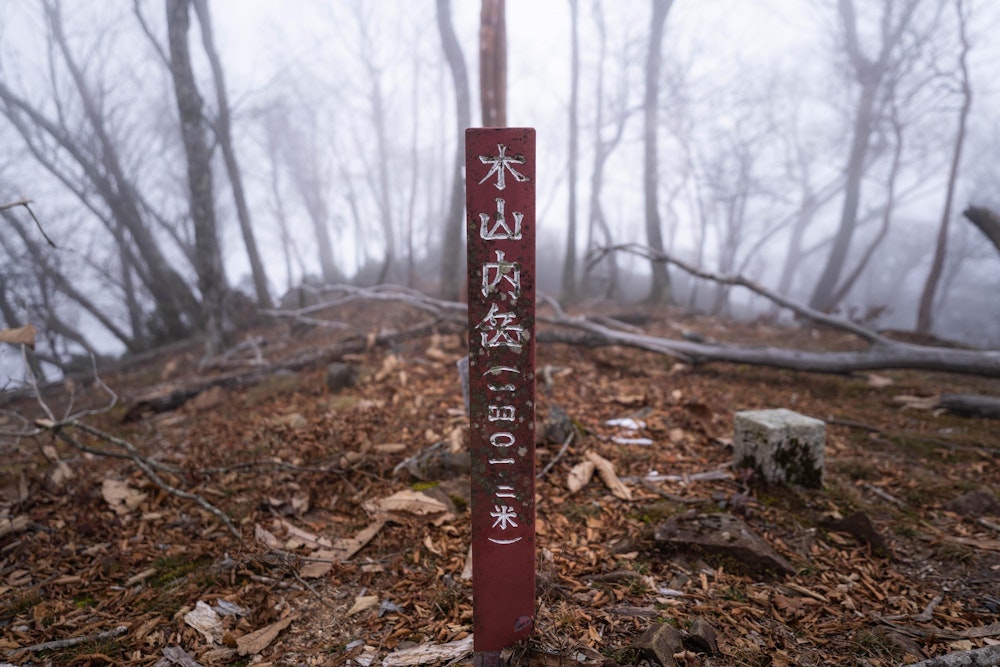 <p>誰もいない道を歩き、木山内岳へ。このルートを歩く登山者はほんのわずかだろう。</p>