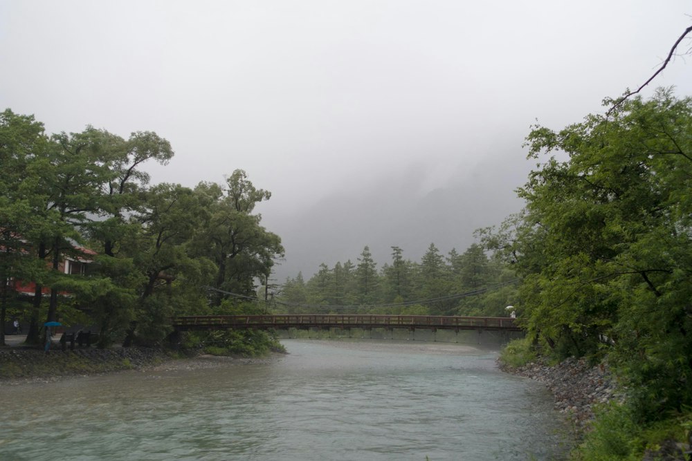 <p>上高地から入山。初日はこの天気。最初からレインウェアを着て行動開始する。</p>