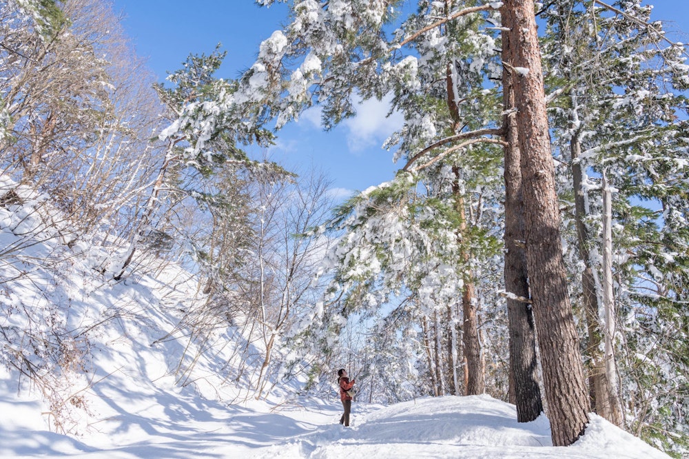 <p>雪と戯れながら、ゆったりと林道を歩く。</p>