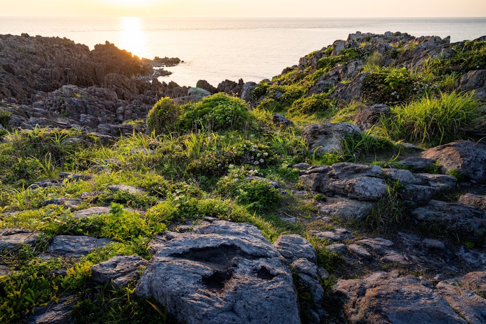 <p>東尋坊とは違った印象の岩場。<br>雄島で夕暮れ時の風景を楽しむ。</p>