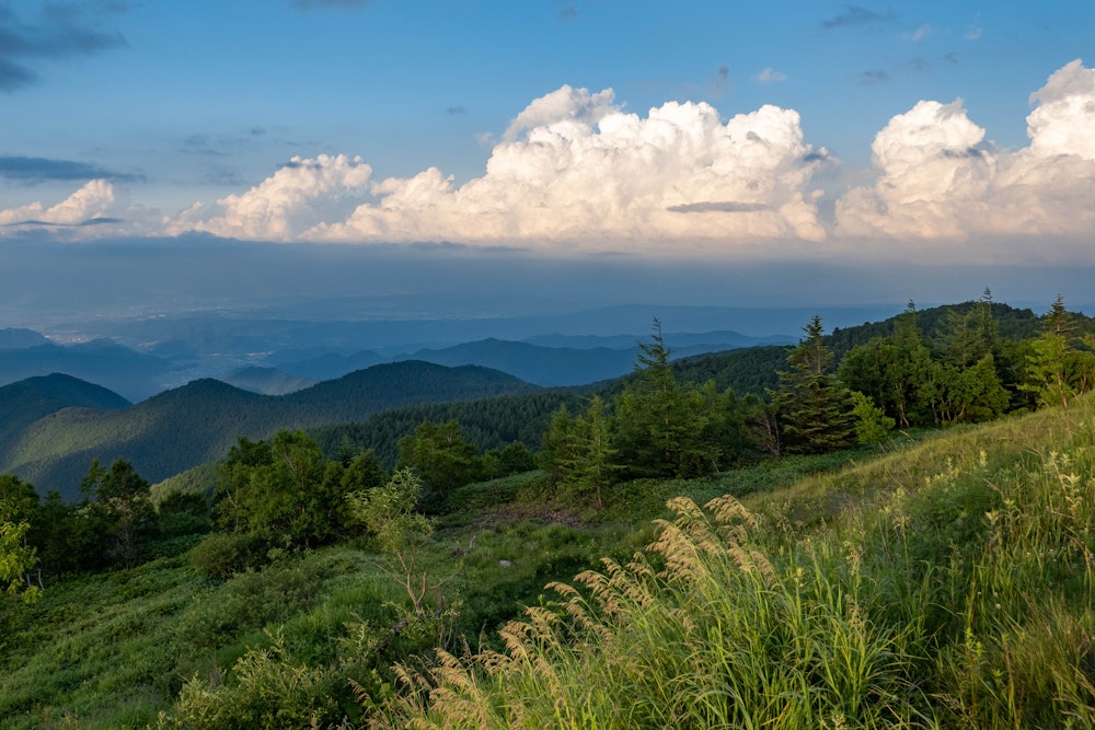 <p>日が暮れそうなころ、車を停めた道の駅美ヶ原高原に帰着。<br>午後から歩き始めたが、十分に楽しむことができた。山歩き初心者を連れてきても、きっと楽しめるいい場所だ。普段着でも楽しめる。<br>最近、こんなのんびりとした山歩きばかりでいいのかという気持ちになりながら、今回も満足だった。</p>