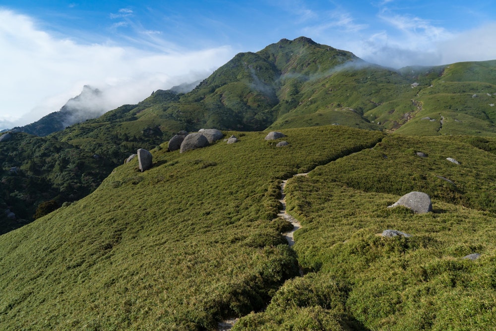 <p>そしてなんと、宮之浦岳を正面に捉えるポイントに立ったとき、それまで山を覆っていた濃い霧が一気に晴れてきたのだ。</p>