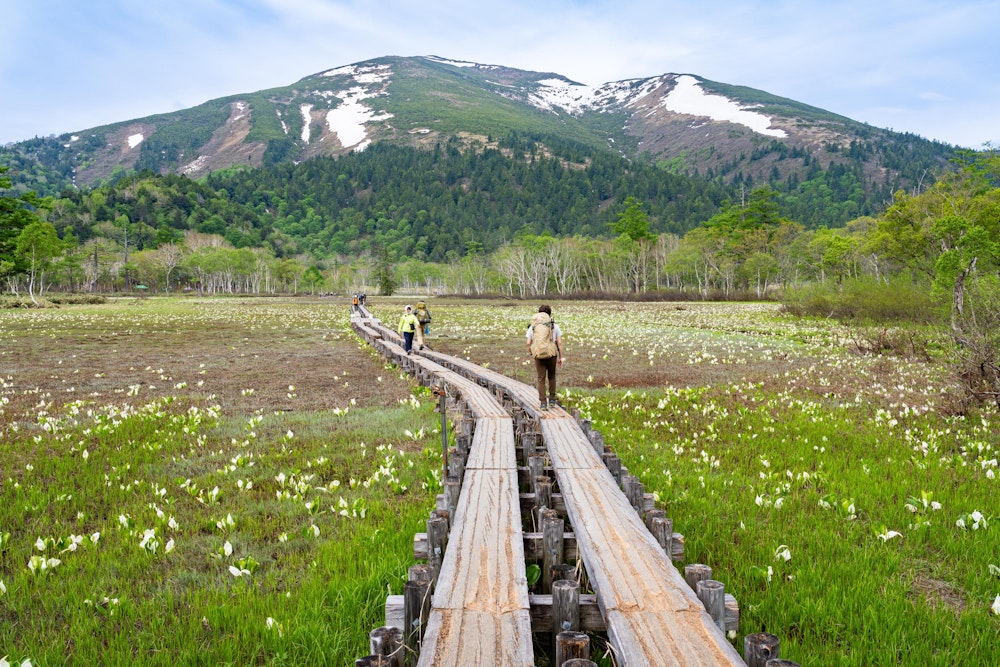 <p>帰り道は、正面の至仏山がどんどん大きくなってくる。<br>一度訪れたことがある盛夏の尾瀬とは違い、この時期の残雪のある至仏山は立体感が増していっそう凛々しく見えた。</p>