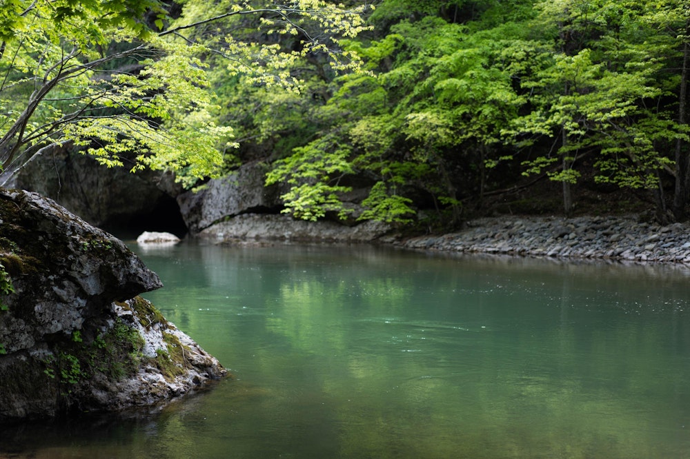 <p>水の流れもおだやかで、川遊びもできそうな場所だった。</p>