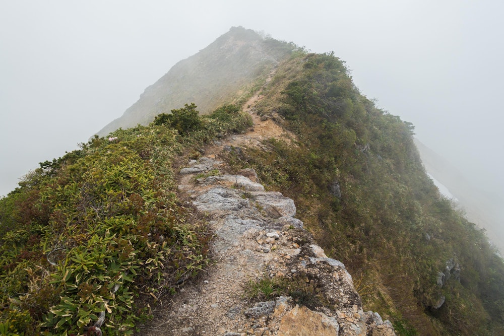 <p>たまにこんな感じの細い尾根を通る。<br>ガスがかかってきて、高度感がそれほどないが、晴れていればどんな感じなんだろう。</p>