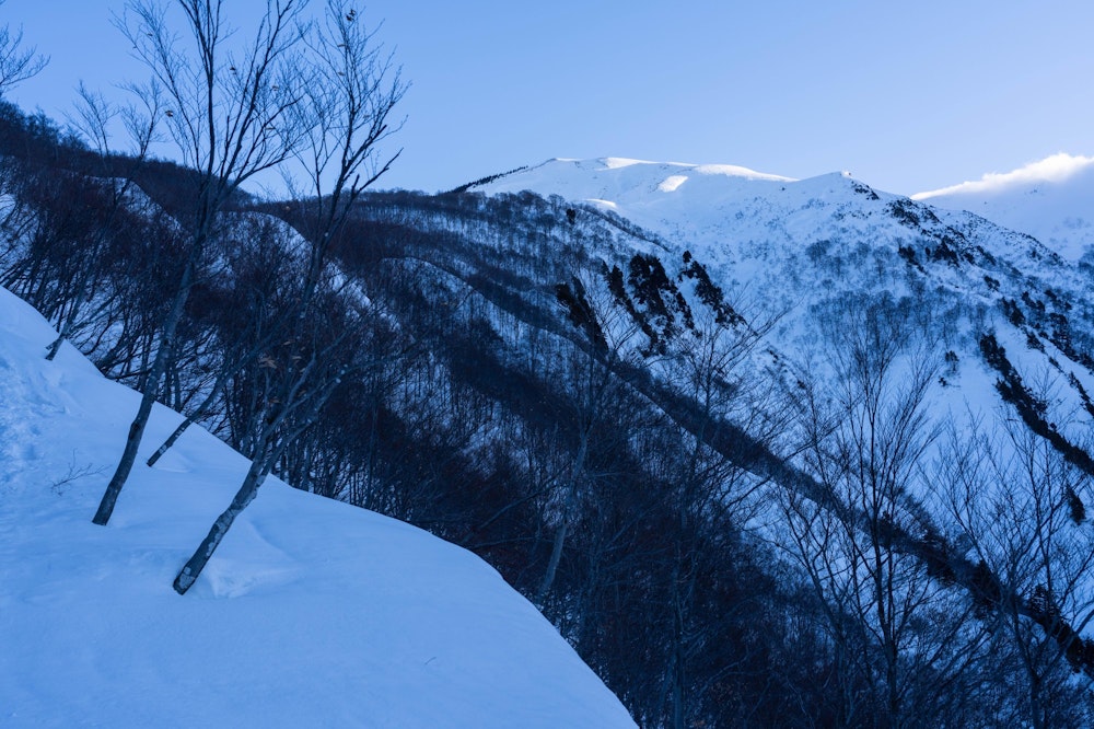 <p>そしてそこから巻機山の頂上方面が見えた。正確には、見えているのは前巻機山（ニセ巻機）で、山頂はさらにその奥にある。<br>見上げる高さにあり、まだまだ先が長いことを思い知らされる。</p>