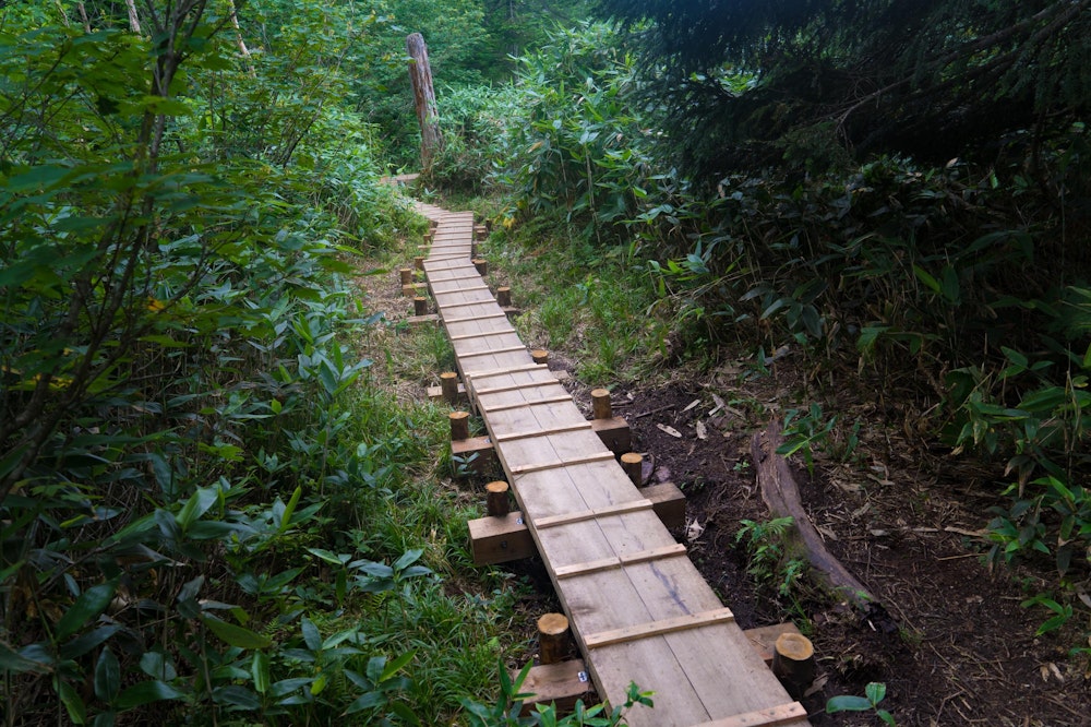 <p>下山道は次第に樹林に覆われていくが、登山道は非常によく整備されていて歩きやすい。<br>このまま鳩待峠に戻って下山。<br>初めての尾瀬、まさにそこは天国のような場所だった。今回はその半分ほどしか歩いていないので、次回は燧ヶ岳の登山とあわせて今回歩いていないエリアを楽しみたい。</p>